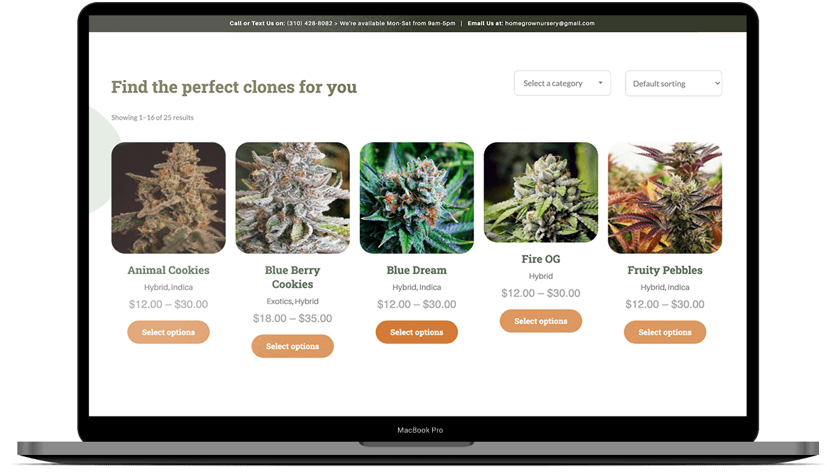 HomeGrownNursery_Scopic_Main HomeGrownNursery_Scopic_Main