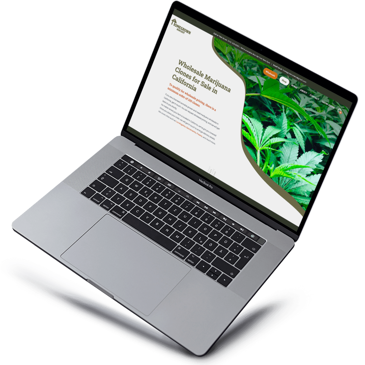 HomeGrownNursery_Scopic_Vision HomeGrownNursery_Scopic_Vision